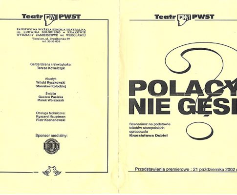 Polacy nie gęsi (program)