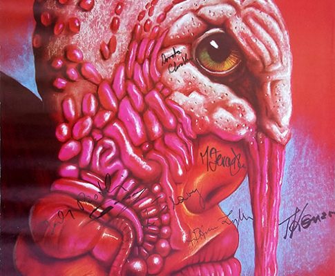 Indyk (Teatr Polski w Szczecinie, 2009) – plakat